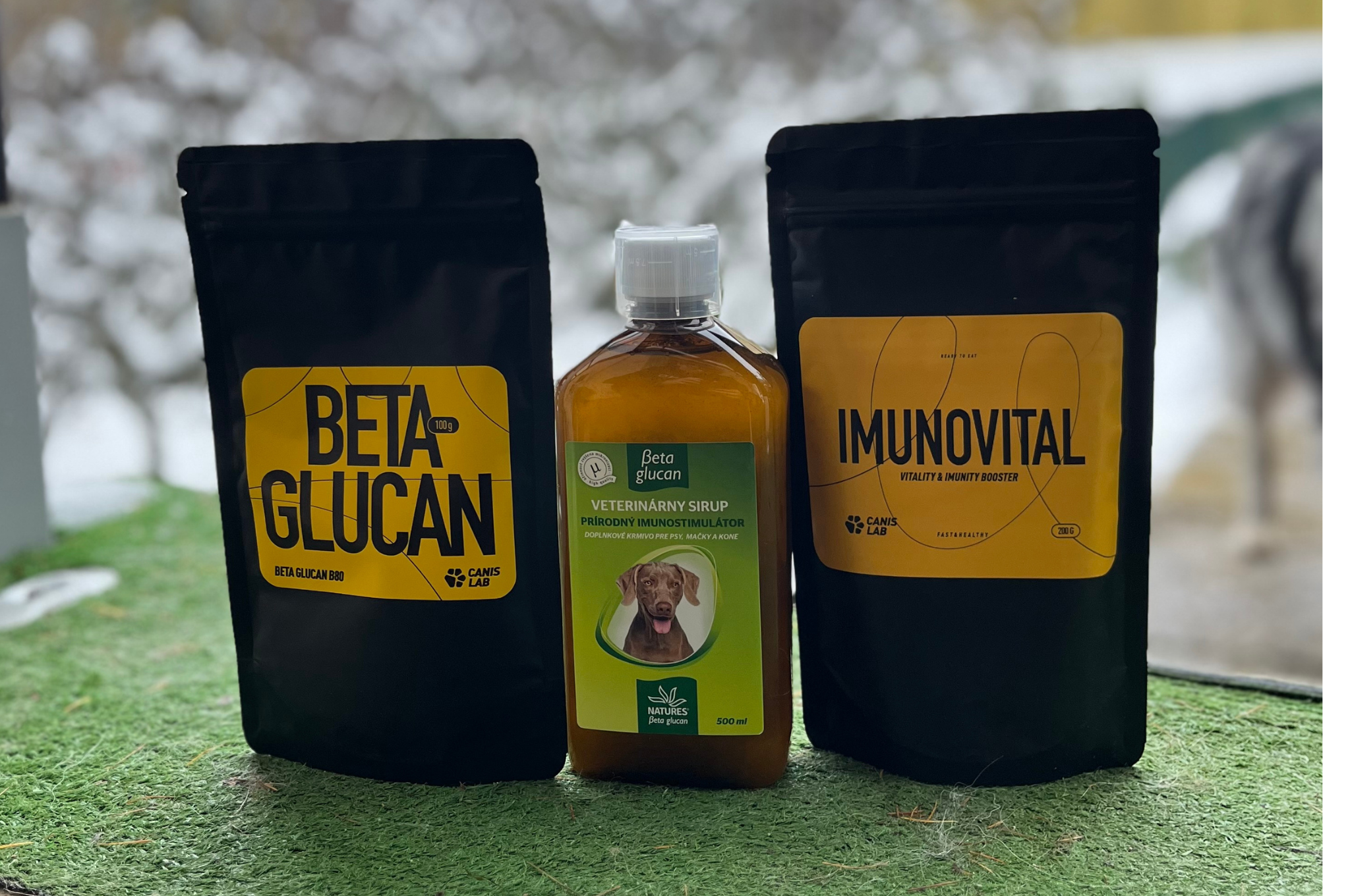 Doplnky výživy pre psy na podporu imunity